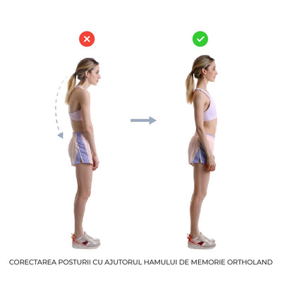 Ham de memorie PREMIUM universal