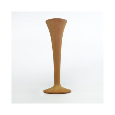 Stetoscop Fetal Pinard Riester de Plastic 4190